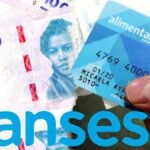 ANSES: ¿Cuánto se cobra en agosto por la AUH y la Tarjeta Alimentar?