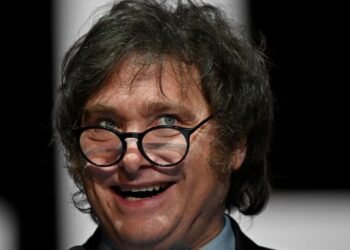 La Justicia federal invalida el veto de Milei a la Ley de Emergencia en Discapacidad