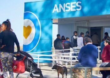 ANSES lanza nueva sección para consultar asignaciones familiares fácilmente