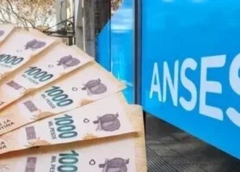 ANSES confirma aumento en la Asignación por Embarazo para septiembre 2025