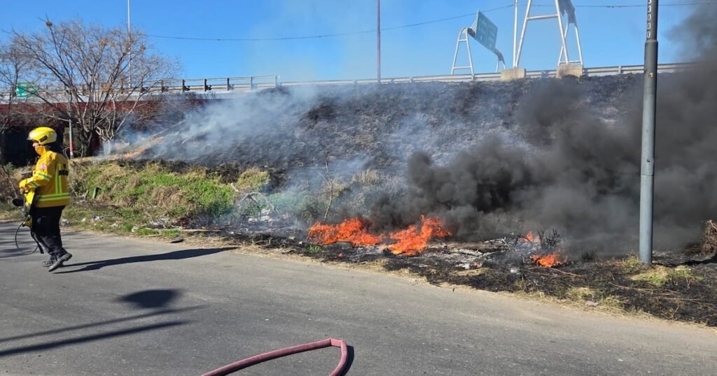 Incendios en el Delta del Paraná generan alarma por posible intencionalidad