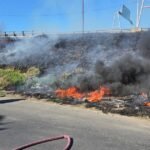 Incendios en el Delta del Paraná generan alarma por posible intencionalidad