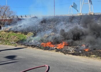 Incendios en el Delta del Paraná generan alarma por posible intencionalidad