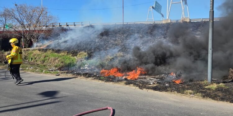 Incendios en el Delta del Paraná generan alarma por posible intencionalidad
