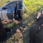 Diputada Rocío Bonacci sufre accidente de tránsito en ruta a Buenos Aires