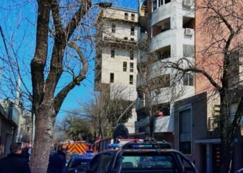 Cuatro trabajadores fallecen en trágico accidente laboral en San Lorenzo