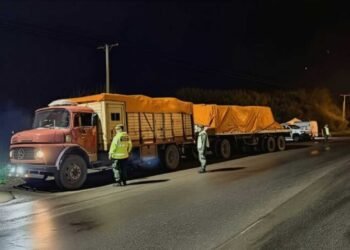Interceptan camión con remifentanilo y morfina en Cañuelas
