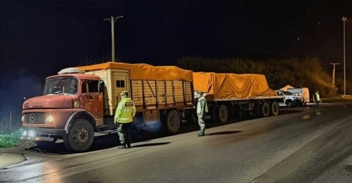 Interceptan camión con remifentanilo y morfina en Cañuelas