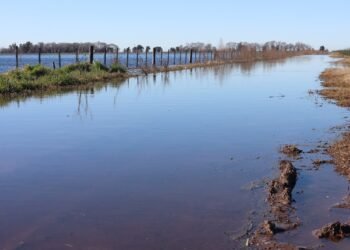 Inundaciones agravan crisis hídrica en provincias productivas de Buenos Aires