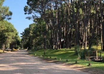 La historia detrás del crecimiento de Mar de las Pampas como destino turístico