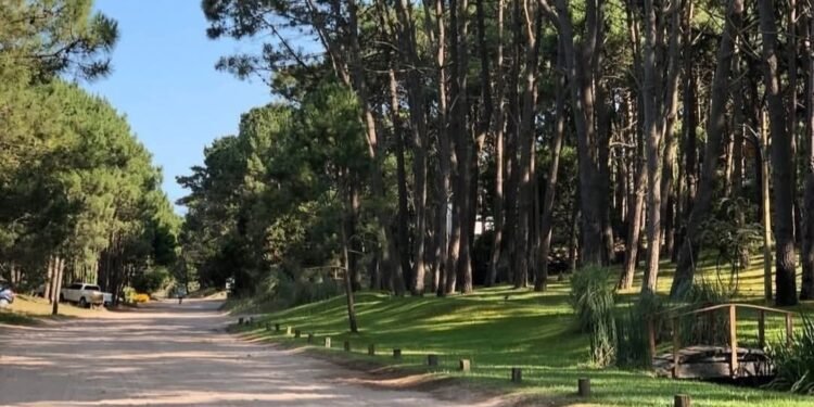 La historia detrás del crecimiento de Mar de las Pampas como destino turístico