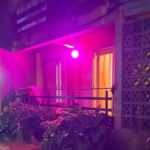 Detienen a hombre en Mar del Plata por someter y explotar a mujeres