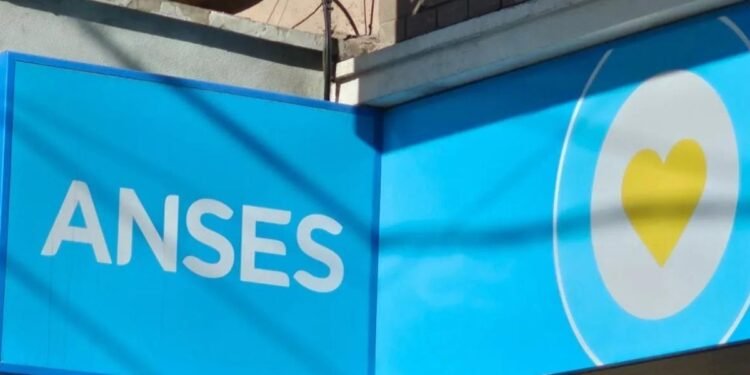 Créditos ANSES: ¿Cómo acceder al pago voluntario en agosto?