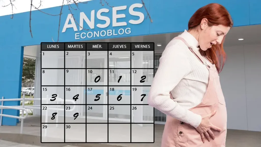 Anses confirma el calendario de pagos de la asignación por embarazo