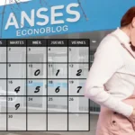 Anses confirma el calendario de pagos de la asignación por embarazo