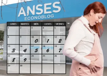 Anses confirma el calendario de pagos de la asignación por embarazo