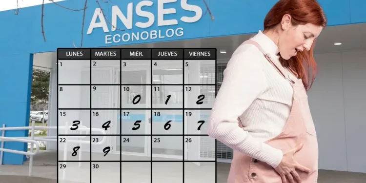 Anses confirma el calendario de pagos de la asignación por embarazo