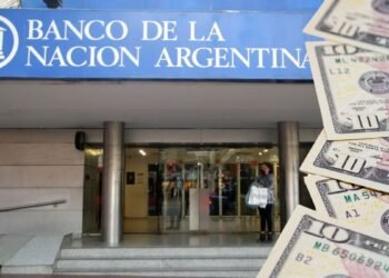 El dólar oficial cae $60 en agosto tras el alza de julio