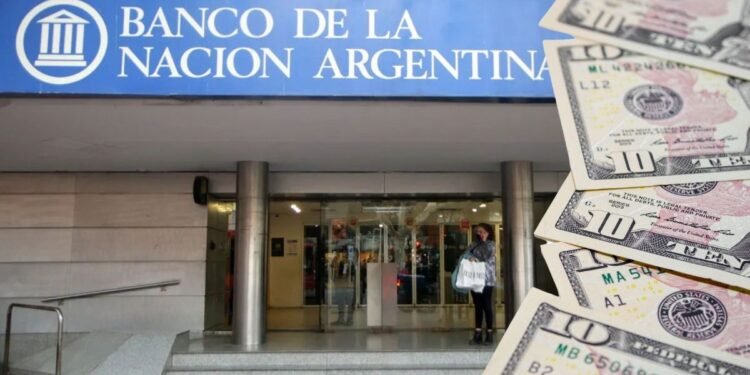 El dólar oficial cae $60 en agosto tras el alza de julio