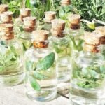 La caña con ruda: ritual de salud y tradición que une al país cada agosto