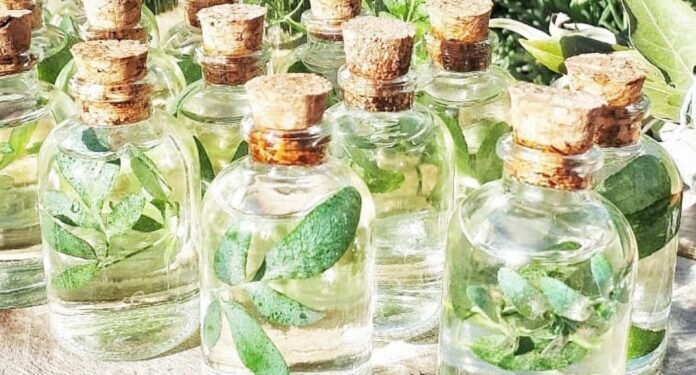 La caña con ruda: ritual de salud y tradición que une al país cada agosto