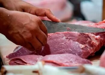 Último día para ahorrar 35% en carne con Cuenta DNI en Buenos Aires