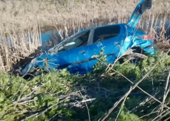 Tres heridos tras vuelco en Ruta 51 provocado por un carpincho en Azul