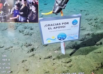 Investigadores del Conicet sorprenden con agradecimiento en transmisión submarina