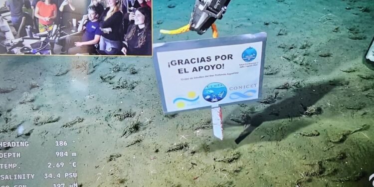Investigadores del Conicet sorprenden con agradecimiento en transmisión submarina