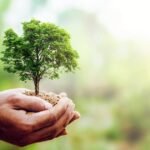 Sarmiento impulsó el Día del árbol en Argentina hace más de un siglo