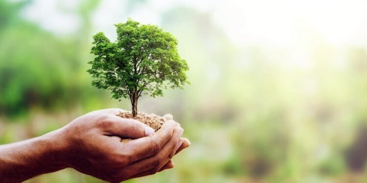 Sarmiento impulsó el Día del árbol en Argentina hace más de un siglo