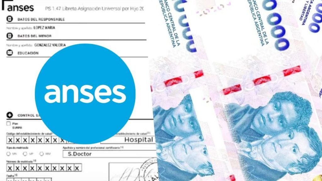 Se confirmaron los nuevos montos de AUH y Tarjeta Alimentar para septiembre