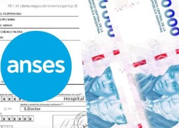 Se confirmaron los nuevos montos de AUH y Tarjeta Alimentar para septiembre