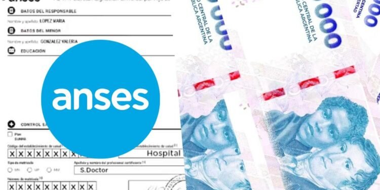 Se confirmaron los nuevos montos de AUH y Tarjeta Alimentar para septiembre