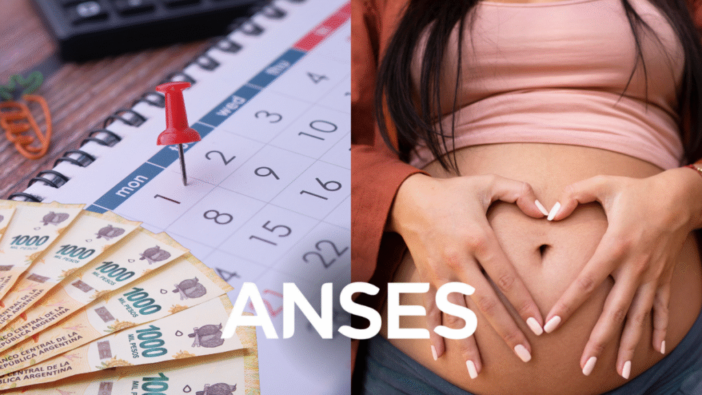 ¿Cómo se tramita la Asignación por Maternidad en agosto? Requisitos y pagos