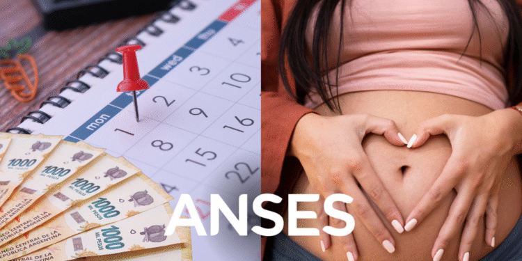 ¿Cómo se tramita la Asignación por Maternidad en agosto? Requisitos y pagos