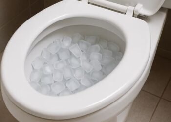 El truco de los cubos de hielo en el inodoro que sorprende por su eficacia