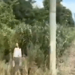 Video de un supuesto fantasma en el tren Roca genera debate en redes