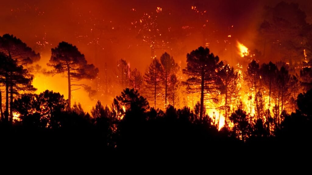 Concienciación sobre incendios forestales: la clave para proteger la naturaleza