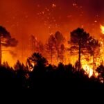 Concienciación sobre incendios forestales: la clave para proteger la naturaleza