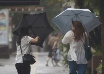 Alerta amarilla y naranja por fuertes vientos en ocho provincias del país