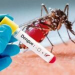 Día Internacional contra el dengue: alertan sobre la prevención y riesgo sanitario