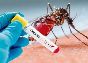 Día Internacional contra el dengue: alertan sobre la prevención y riesgo sanitario