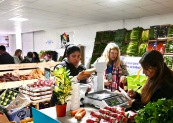 Cuenta DNI: ¿Cuáles son los descuentos en el Mercado Bonaerense esta semana?