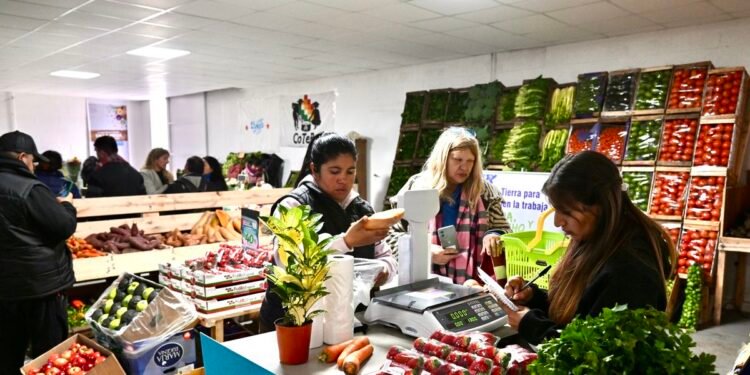 Cuenta DNI: ¿Cuáles son los descuentos en el Mercado Bonaerense esta semana?