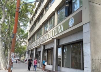 ATE busca frenar despidos y cuestiona decretos económicos en la Justicia