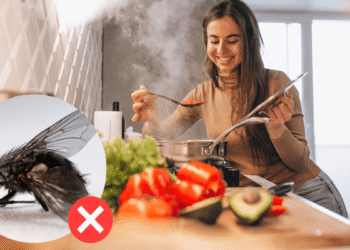 El truco casero para eliminar mosquitas que invaden la cocina