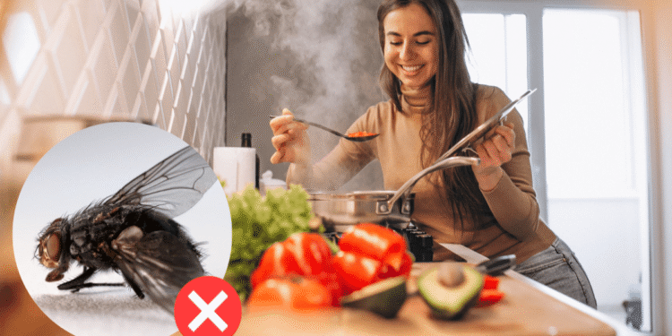 El truco casero para eliminar mosquitas que invaden la cocina