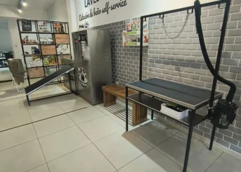 Lavedog revoluciona el baño de mascotas con autolavado en Flores
