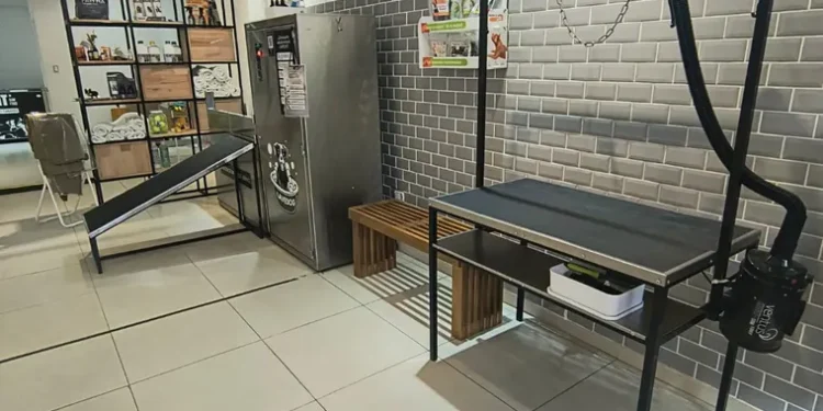 Lavedog revoluciona el baño de mascotas con autolavado en Flores